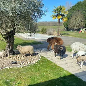 Le Truc Bidule Maison d'hôtes
